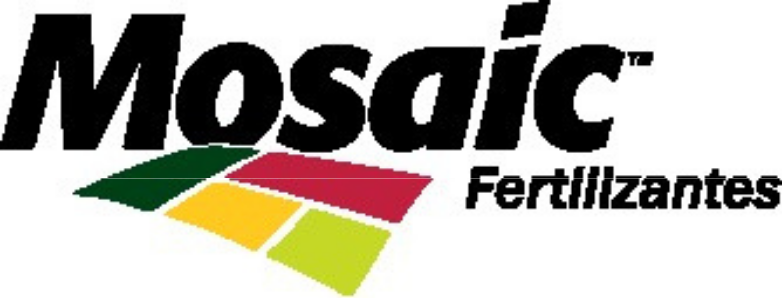 AFBM_Portfolio.pdf (3)